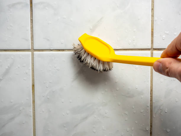 Best Mold Damage Repair  in Kathleen, FL
